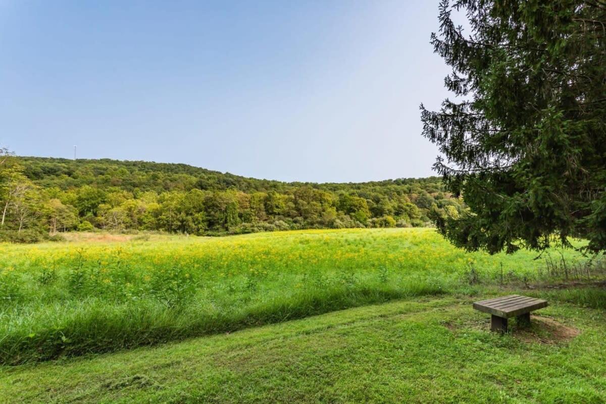 Huge Cabin W Hot Tub, Deck, Grill, Fire Pit, Wifi Берклі-Спрінгз Екстер'єр фото