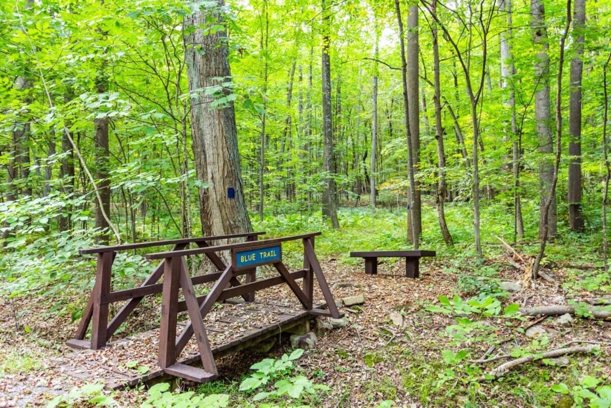Huge Cabin W Hot Tub, Deck, Grill, Fire Pit, Wifi Берклі-Спрінгз Екстер'єр фото