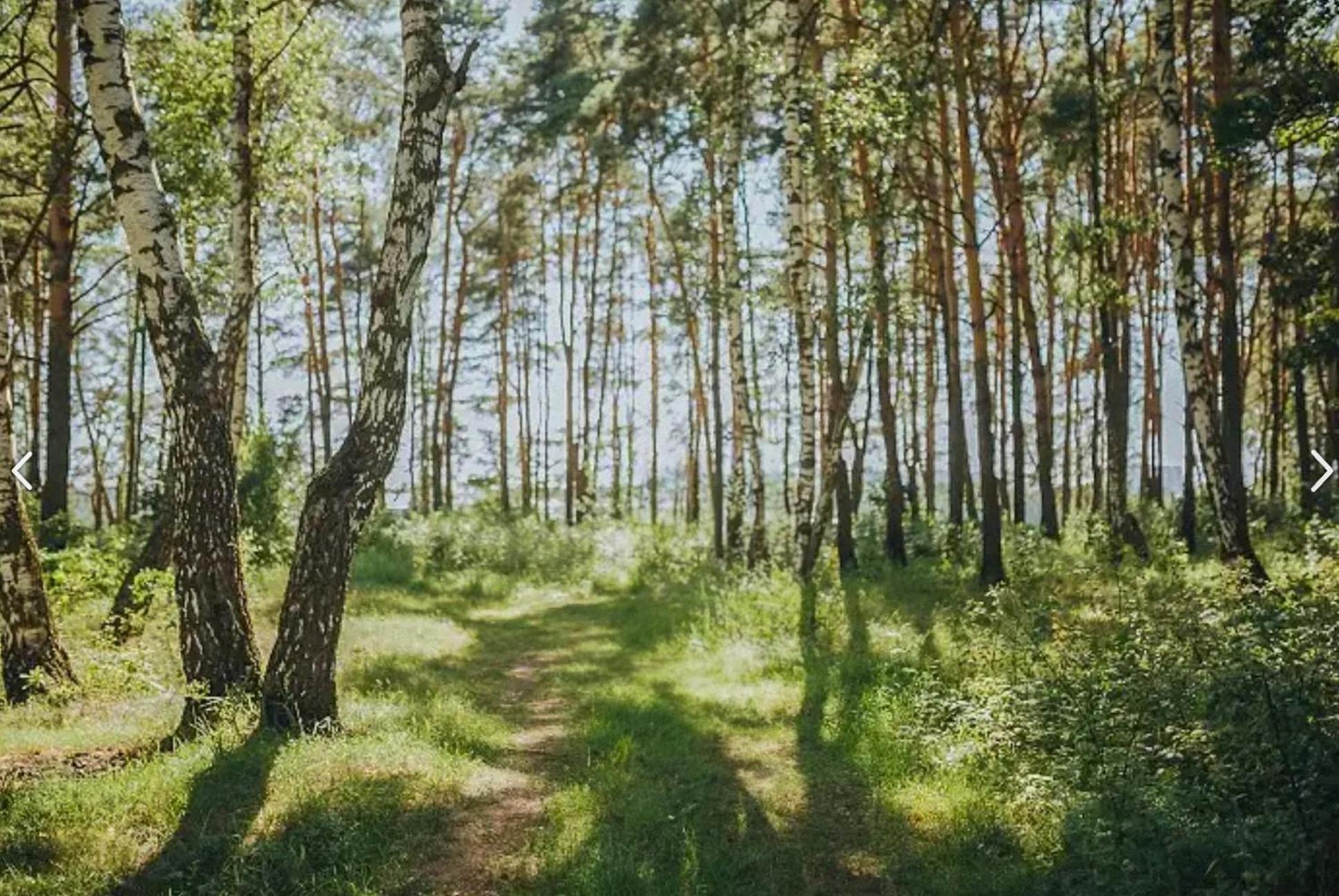 Huge Cabin W Hot Tub, Deck, Grill, Fire Pit, Wifi Берклі-Спрінгз Екстер'єр фото
